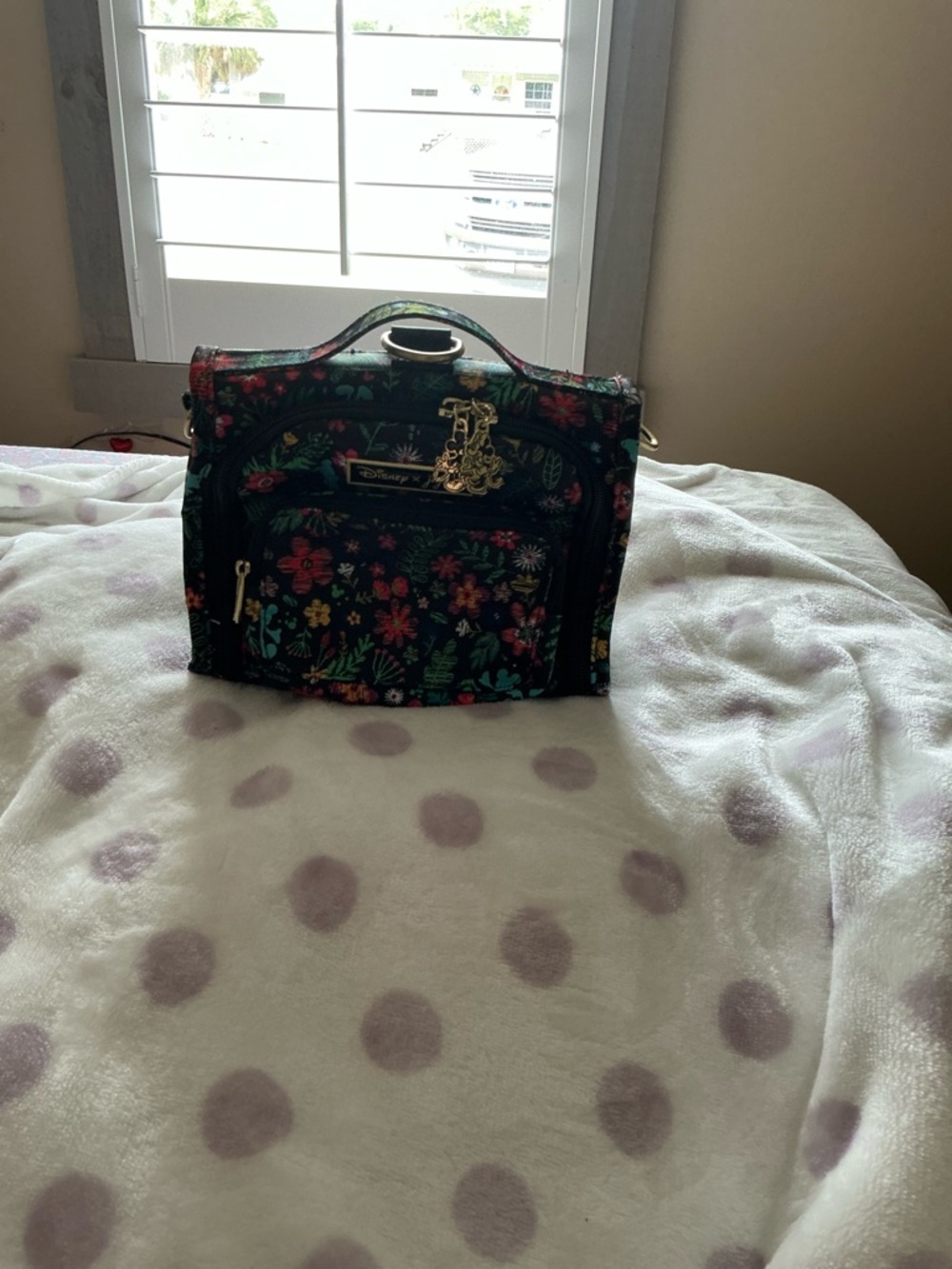Disney jujube ADF mini bff